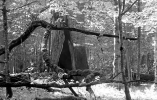 
Zdjęcie zostało wykonane w obszarze ochrony ścisłej BPN, gdzie od tysięcy lat trwają nieprzerwanie naturalne procesy przyrodnicze, bez pomocy leśnika. Taki las można oglądać jeszcze tylko w Puszczy Białowieskiej, dlatego jest dziedzictwem całej ludzkości. Fot. Janusz Korbel
