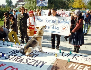
Skukam podczas akcji na rzecz ochrony wilków. Krosno, październik 1997
