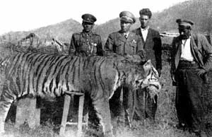 
Zdjęcie zrobione przy okazji upolowania przez Ahmada Honarvara ostatniego tygrysa kaspijskiego
