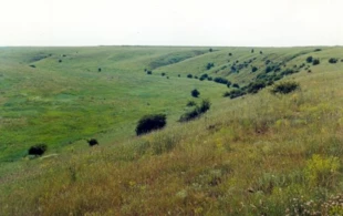
Stepy, Środkowa Ukraina, niedaleko miejscowości Antoniwka. Fot. Grzegorz Czerwiński
