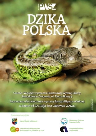 
Wystawa „Dzika Polska” w Głogowie – plakat
