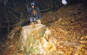 
Takie drzewa wycinało się w rezerwacie „Turnica”, listopad 1995 r. Fot. Janusz Korbel
