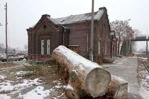 
Pień wyciętego drzewa przy budynku dworca. Fot. Rafał Jasiński
