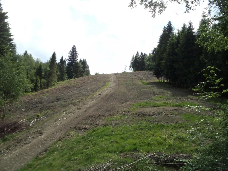 Ok. 1,5 ha lasu wycięto nielegalnie w rejonie góry Stożek Breński nieopodal przysiółka Kisiałka...