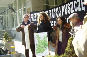 BISON apeluje w sprawie Puszczy Białowieskiej