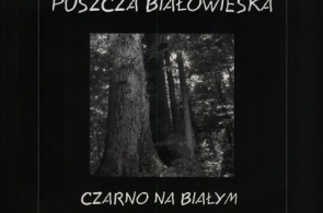 Album „Puszcza Białowieska – czarno na białym”