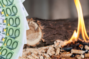 Polska marnuje miliard złotych rocznie na pseudo zieloną energię z biomasy