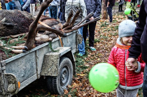 Minister Środowiska pod dyktando myśliwych wysyła dzieci na polowanie