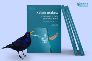 Miesięcznik Dzikie Życie poleca książkę „Kolizje ptaków z transparentnymi powierzchniami. Kompendium wiedzy”