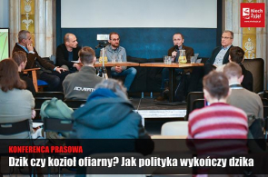 Wniosek po konferencji prasowej w kwestii dzików: polski rząd nie radzi sobie z rozwiązaniem problemu wirusa ASF
