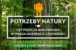 Przełomowa konferencja w Sejmie. Niezależni naukowcy opowiedzą o Puszczy Białowieskiej