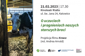 Projekcja filmu „Krowa” Andrei Arnolda w Katowicach