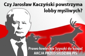 Czy Jarosław Kaczyński powstrzyma lobby myśliwych?