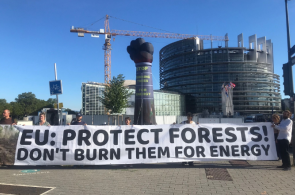 Parlament Europejski częściowo ogranicza wsparcie dla spalania lasów