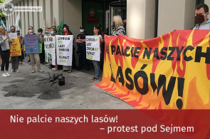 „Nie palcie naszych lasów!” – protest pod Sejmem przeciw zmianie ustawy  o odnawialnych źródłach energii