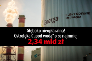 Raport miażdżący dla Ostrołęki C - elektrownia wykazuje głęboką nieopłacalność