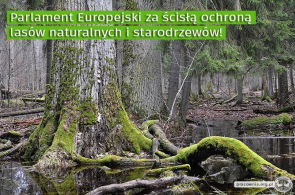 Parlament Europejski za skuteczną ochroną przyrody w Strategii Bioróżnorodności