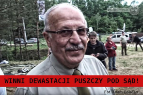 Coraz bliżej ukarania winnych dewastacji Puszczy Białowieskiej