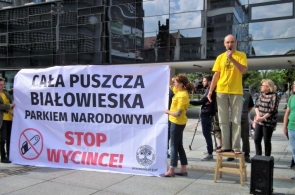 Kraków, Katowice i Trójmiasto mocnym głosem za ochroną Puszczy Białowieskiej