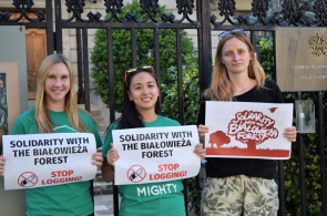 Solidarni z Białowieżą w Waszyngtonie: Mighty Earth dołącza do historycznej walki o Puszczę Białowieską