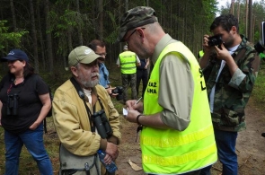 Lasy Państwowe uniemożliwiły naukowcom wizję lokalną na terenach wycinek w Puszczy Białowieskiej