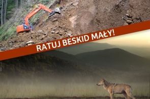 Beskid Mały: kolejna zgoda krakowskiej RDOŚ na zniszczenie przyrody i krajobrazu