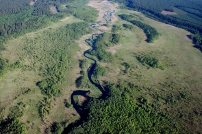 Budowa obwodnicy Augustowa naruszyła obszar Natura 2000