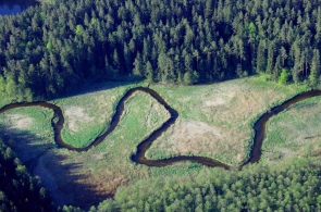 Europejski Trybunał zakazał zalesiania Doliny Rospudy