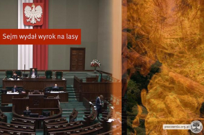 Sejm za paleniem polskimi lasami w piecach elektrowni