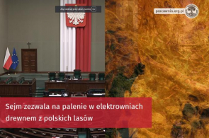 Sejm zezwala na palenie w elektrowniach drewnem z polskich lasów