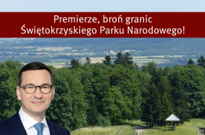 Premierze, broń integralności granic Świętokrzyskiego Parku Narodowego - apel do Mateusza Morawieckiego w sprawie Łyśca