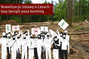 Rządowa nowelizacja ustawy o lasach – ciąg dalszy papierowej ochrony lasów w Polsce