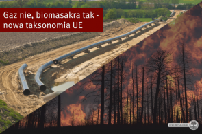 Taksonomia – komentarz. Inwestycje gazowe wykluczone z listy „zrównoważonych”, ale Unia zgadza się na palenie lasami w elektrowniach