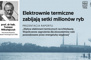 Hekatomba w polskich rzekach: elektrownie zabijają setki milionów ryb. Nagranie z konferencji prasowej już dostępne