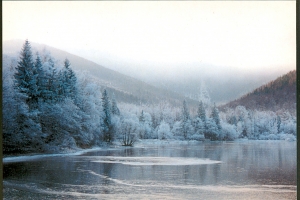 Pocztówka, Przyroda Bielsku-Białej. Fot. Marta Lelek. Zimowy widok na jezioro w Wapienicy. 2000