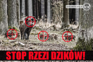 stop-rzezi-dzikow-674x440.jpg