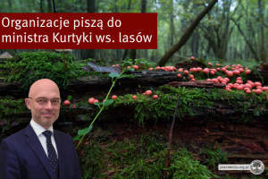 www-674-440-kurtyka.png