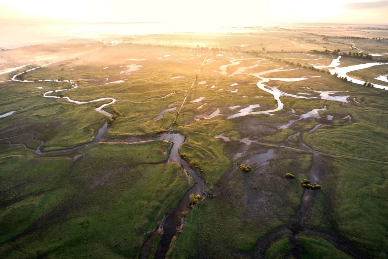 Park Narodowy „Ujście Warty”. Fot. Piotr Chara