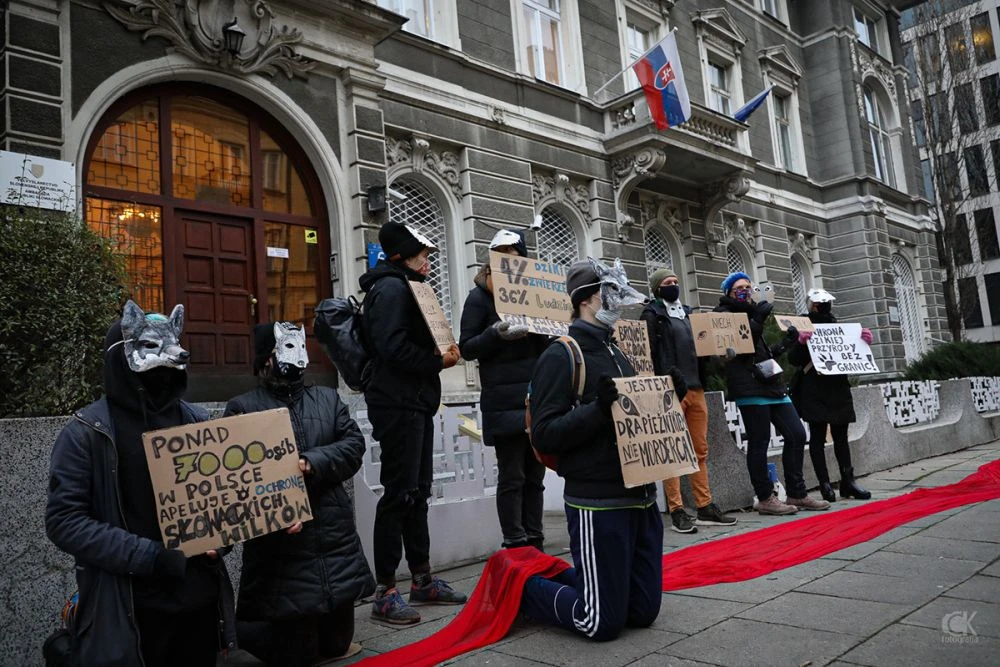 
W obronie wilków pod Ambasadą Republiki Słowacji. Ponad 7300 polskich obywateli zaapelowało do Ambasadora Słowacji śląc swoje listy do Ambasadora, 15.12.2020. Fot. Cezary Kowalski Fotografia

