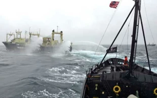 
Sea Shepherd w akcji przeciwko wielorybnikom. Fot. Archiwum Sea Shepherd
