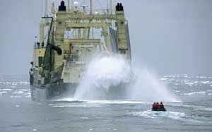
Załoga Sea Shepherd na nadmuchiwanej łodzi Zodiak ściga japońskich wielorybników na łodzi-przetwórni Nisshin Maru. Fot. Josh Gunn / Sea Shepherd
