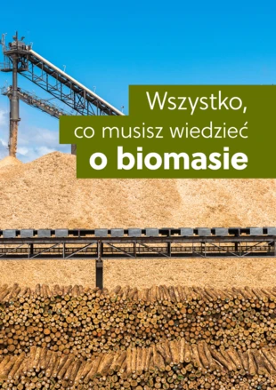 Biomasa-wszystko-co-musisz-wiedziec-o-biomasie-lesnej-2022-185