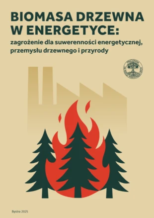 raport-biomasa-drzewna-okladka