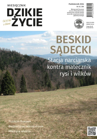 2026-10_okl-dz_1000