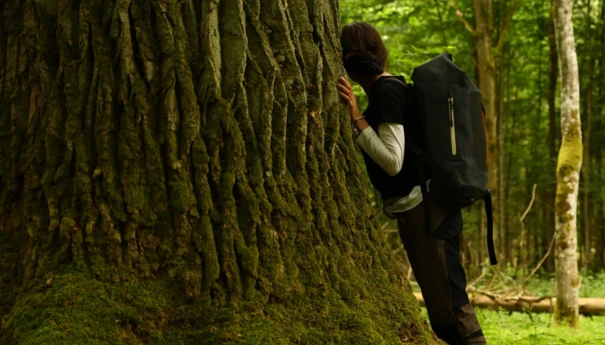 Zdjęcie na stronę www Pracowni (15)