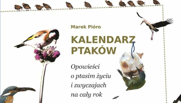 kalendarz-ptakow-marek-pioro