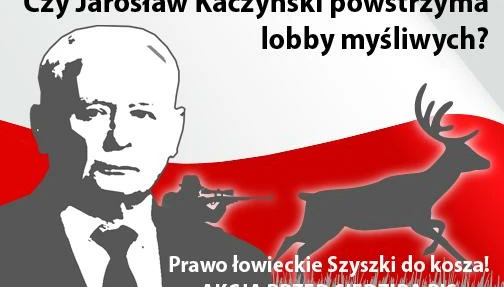 lowiecki-kaczynski-2017.jpg
