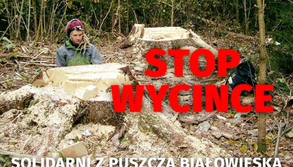 stop-wycince-2017-a.png