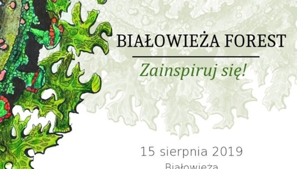 bialowieza-forest-zainspiruj-sie