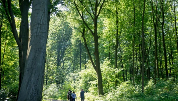 Zdjęcie na stronę www Pracowni (18)